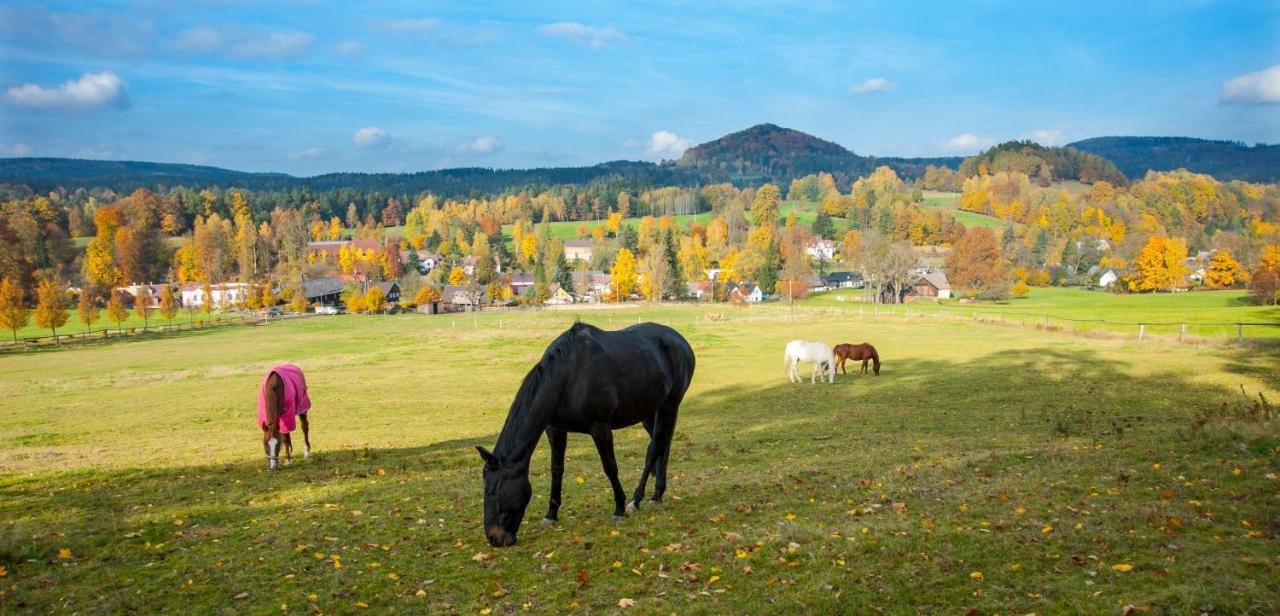 Penzion Na Stodolci Хршибска Екстер'єр фото